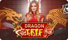 Dragon Tiger